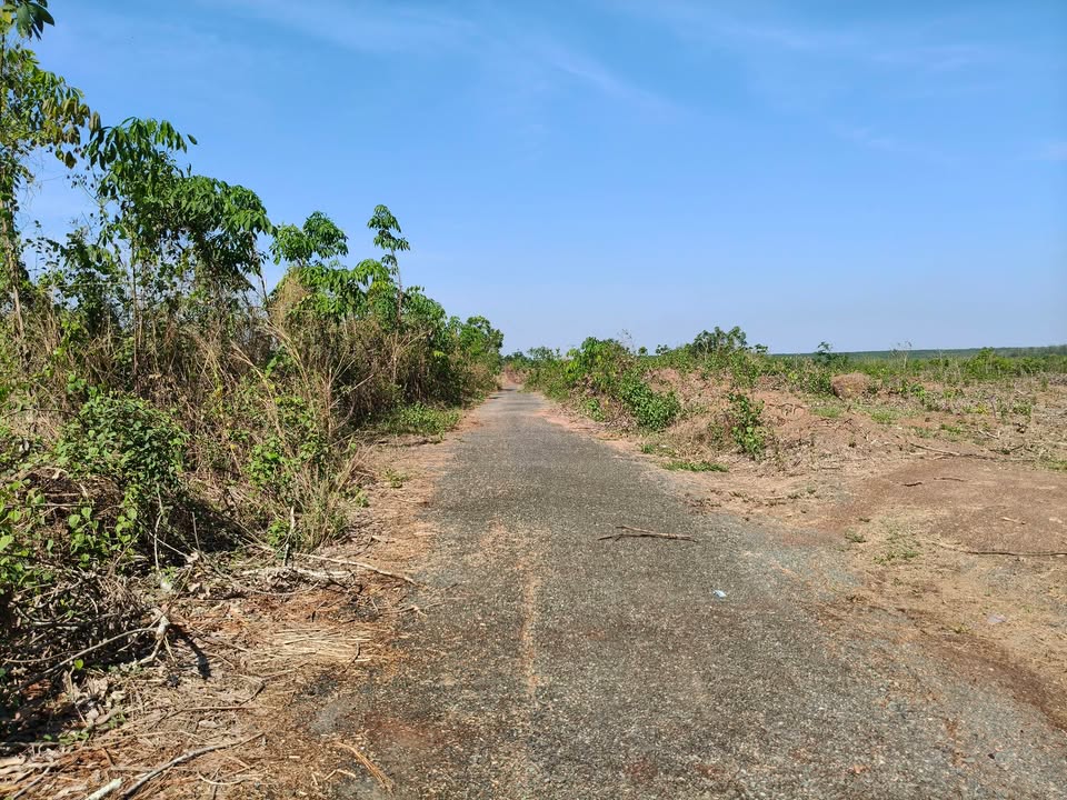 Đất nền 5ha Hớn Quản, Bình Phước - Giá Đầu Tư 5 Tỷ