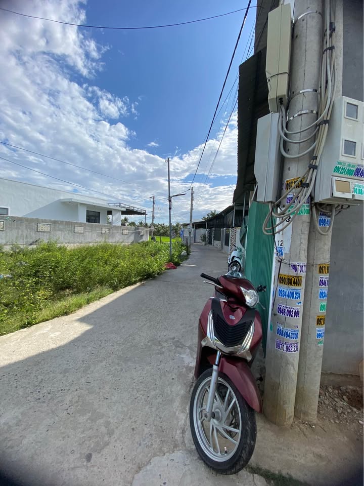 Đất Vườn Long Bình 1203m² - Sổ CLN, Giá Đầu Tư Tốt