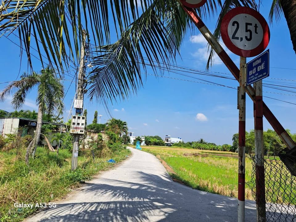 Bán Gấp Đất Vườn 2100m² Mặt Tiền Đường Bờ Dế, Long An - Giá 8 Tỷ