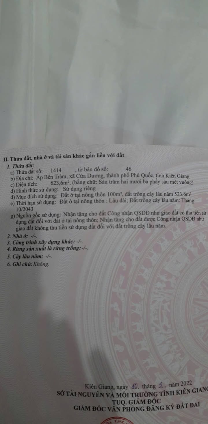 Bán Đất Thổ Cư 623m² Xóm Bến Tràm, Cửa Dương - Tiềm Năng Đầu Tư Phú Quốc