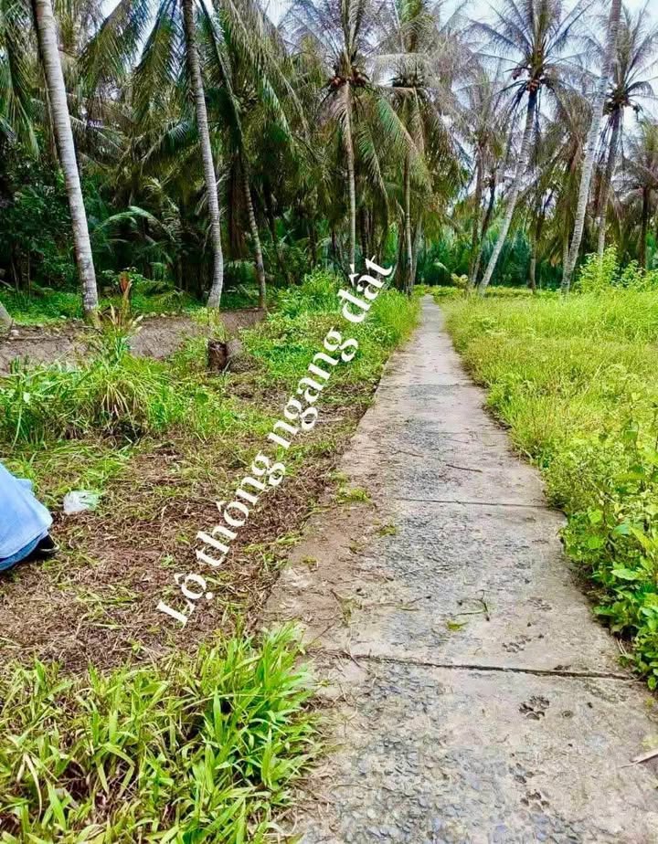 Đất nền Đồng Khởi, Mỏ Cày Nam 232m² - Giá đầu tư tốt!