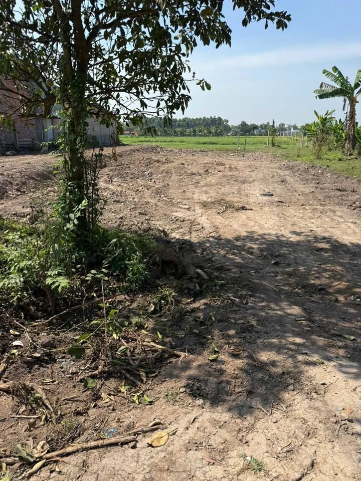 Đất Thổ Cư Full Sổ Đức Hòa 430m² - Giá 2.15 Tỷ Chính Chủ