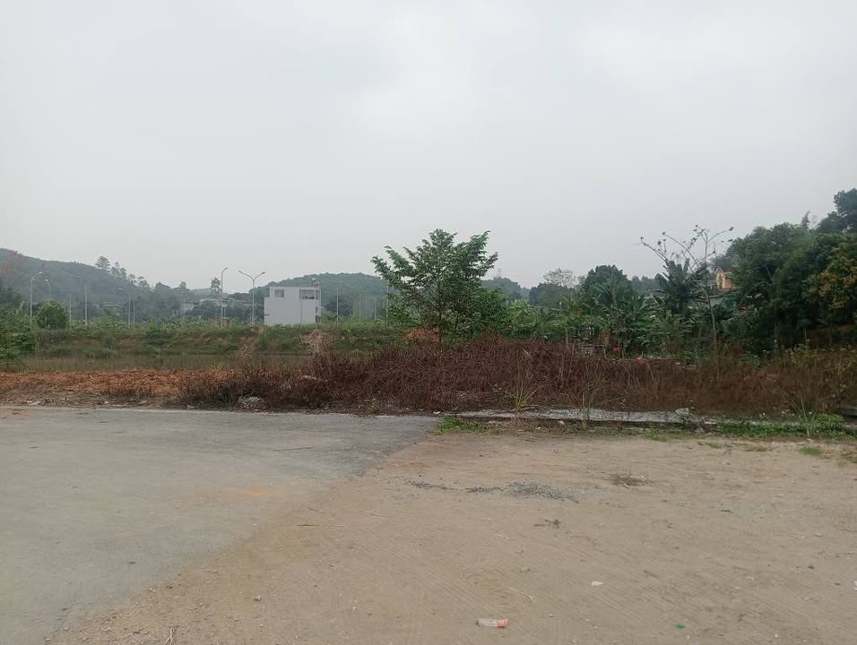 Đất Lô Góc View Hồ Tuyên Quang - 425.5m² Full Thổ Cư - Giá Đầu Tư 6xx Tỷ