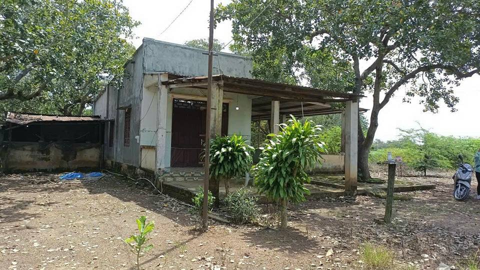 Đất vườn Hưng Long Bình Chánh 2000m² - Giá đầu tư tốt!