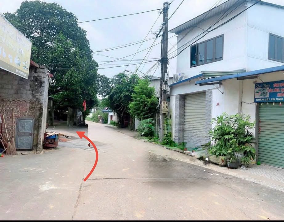 Đất nền Tân Thành, Phú Bình 700m² - Tiềm năng tăng giá!