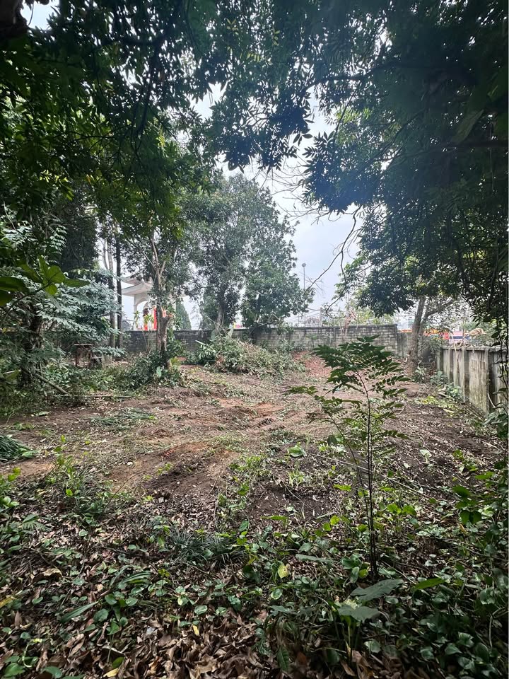 Đất nền Phường Trưng Vương, Thái Nguyên 323m² - Xây dựng tự do!