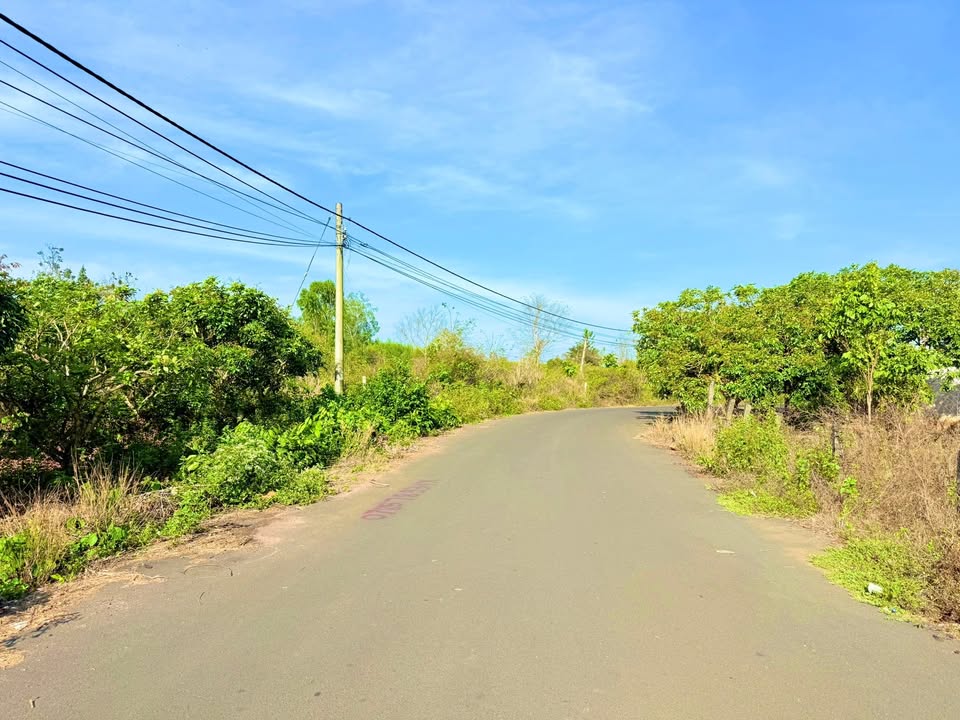 Đất Vườn Xuyên Mộc, BRVT - 946m² Sổ Hồng Sẵn Sàng - 1.85 Tỷ