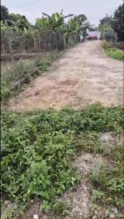 Đất nền Kim Sơn 1.043m² - Đường to ô tô, giá chỉ hơn 1 tỷ!