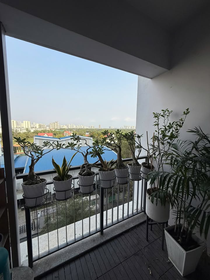 Căn hộ 2PN Saigon South Residences 74m² - Giá 6.2 tỷ, View Nội Khu