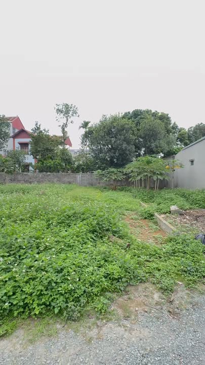 Đất nền Tiên Phương, Chương Mỹ 73m² - Giá 1 tỷ, Vị trí đắc địa