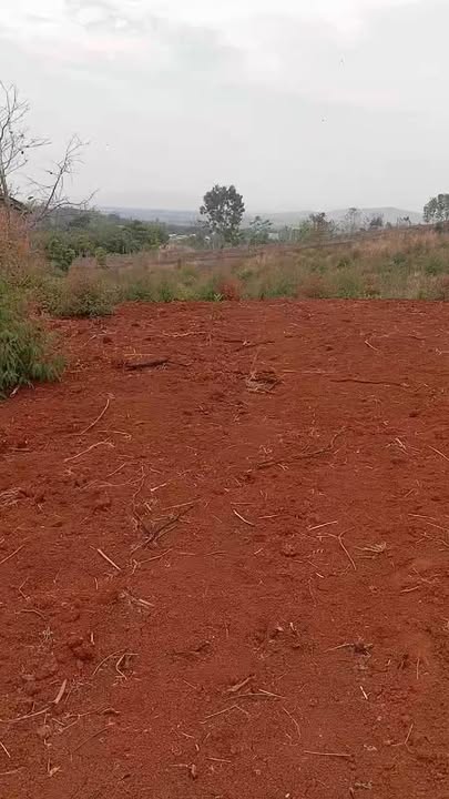 Đất Vườn Chư Prông 10.000m² - Sổ Đỏ Rõ Ràng, Giá Đầu Tư 1.8 Tỷ