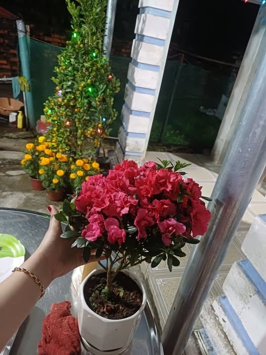 Đất nền Pleiku 81m² - Sổ đỏ thổ cư, giá chỉ 6xx triệu/lô