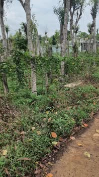 Đất Vườn Gia Lai 1880m² - Sổ Hồng Riêng, Mặt Tiền 47m - Giá Đầu Tư 3.2 Tỷ