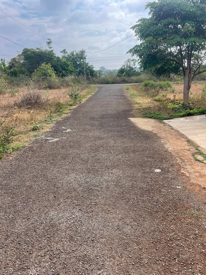 Đất Nền Nguyễn Tuân Pleiku 125m² - Sổ Đỏ Chính Chủ, Pháp Lý Rõ Ràng