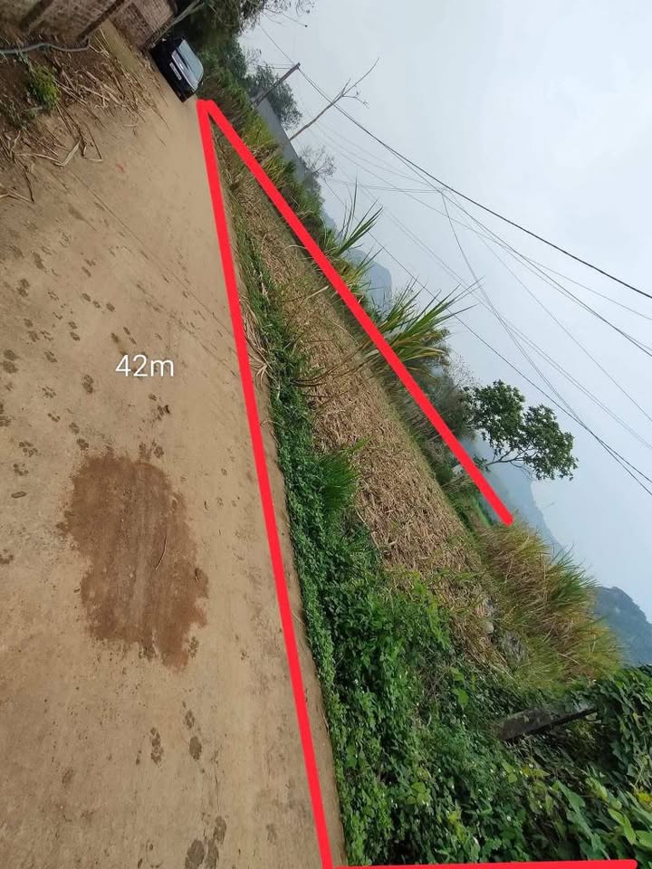 Đất Vườn Nghỉ Dưỡng Hòa Bình - 1307m² Mặt Tiền Rộng 42m