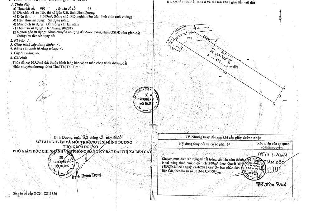 Đất nền An Tây, Bến Cát 1000m² (200m² thổ cư) - Sổ đỏ chính chủ!