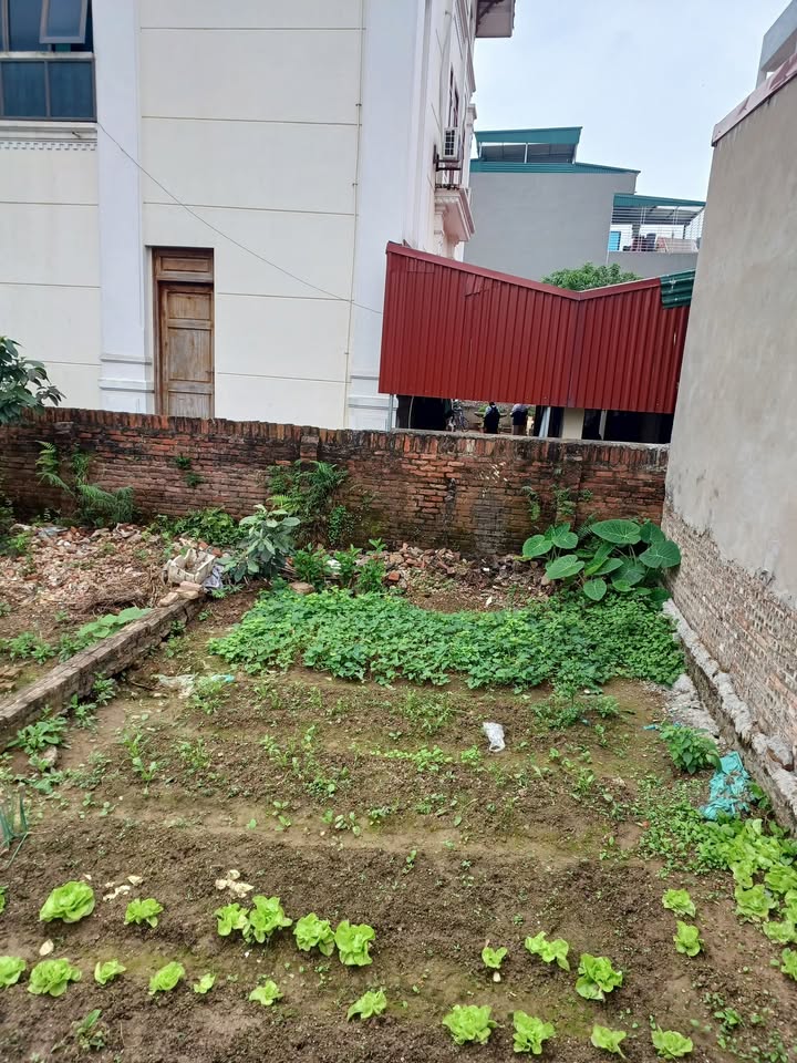 Nhà Đa Tốn 41m² - 3 Tỷ, Ô Tô Đỗ Cửa, Gần Trường Học