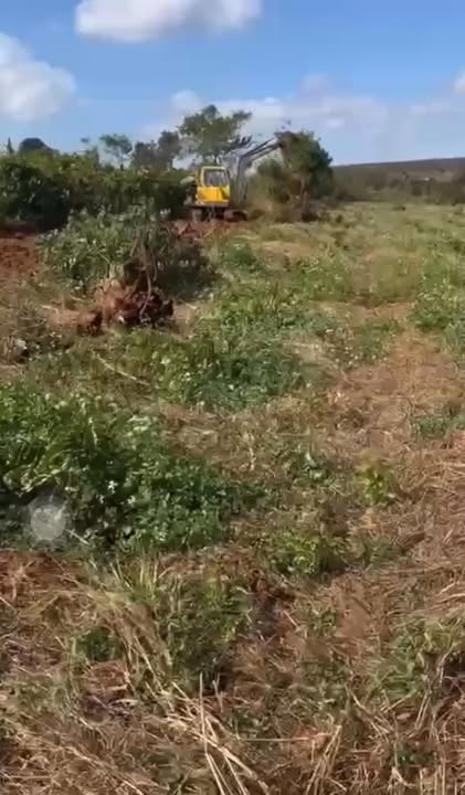 Đất Farm Chư Prông 8ha - Sổ đỏ chính chủ, đầu tư sinh lời!