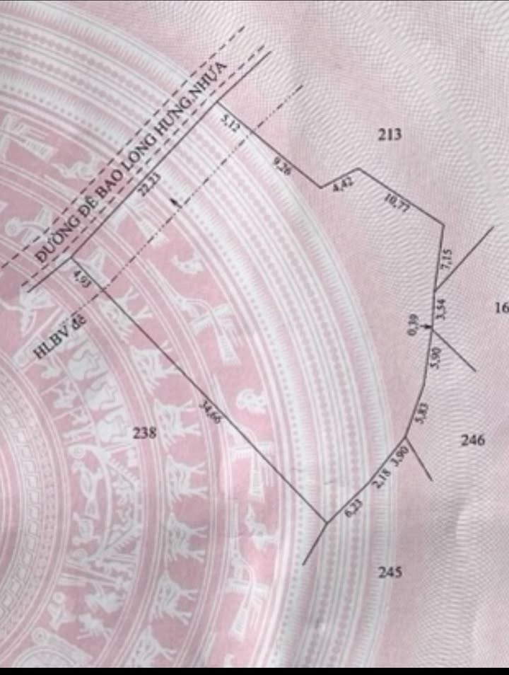 Đất Nền Mặt Tiền Lăng Hoàng Gia, Cần Giuộc - 640m² Sổ Đỏ Giá Đầu Tư