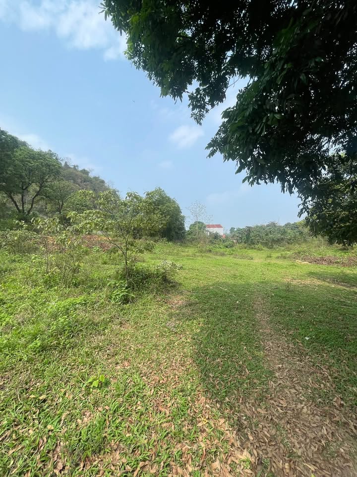 Bán Đất 1ha Xã Thủy Xuân Tiên, Chương Mỹ - Giá Tốt Nhất