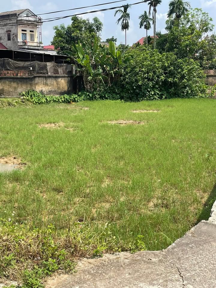 Bán Đất Phổ Yên 635m² Sổ Đỏ Giá 1.6 Tỷ - Vị Trí Vàng