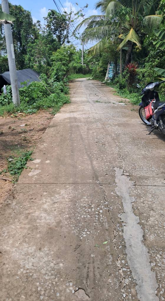 Đất nền Bình Đức, Long Xuyên 2500m² – Sổ đỏ chính chủ, tiềm năng tăng giá!