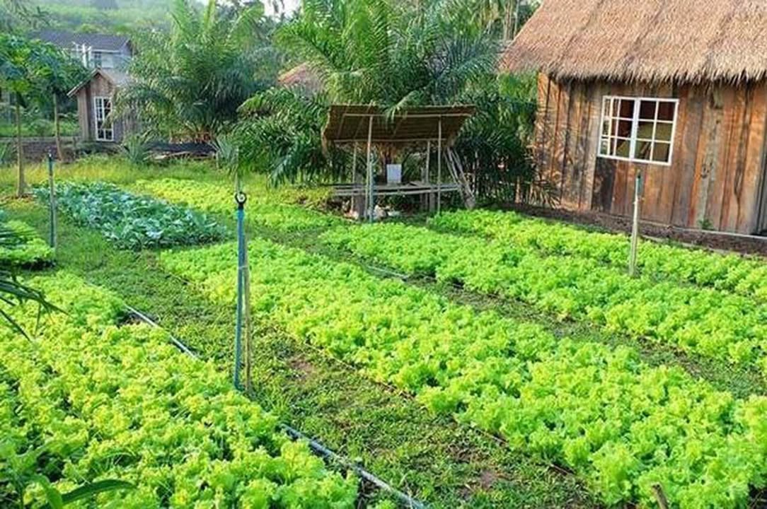 Đất nền Lệ Sơn Hội An 1624m² - Sổ đỏ chính chủ, vị trí vàng