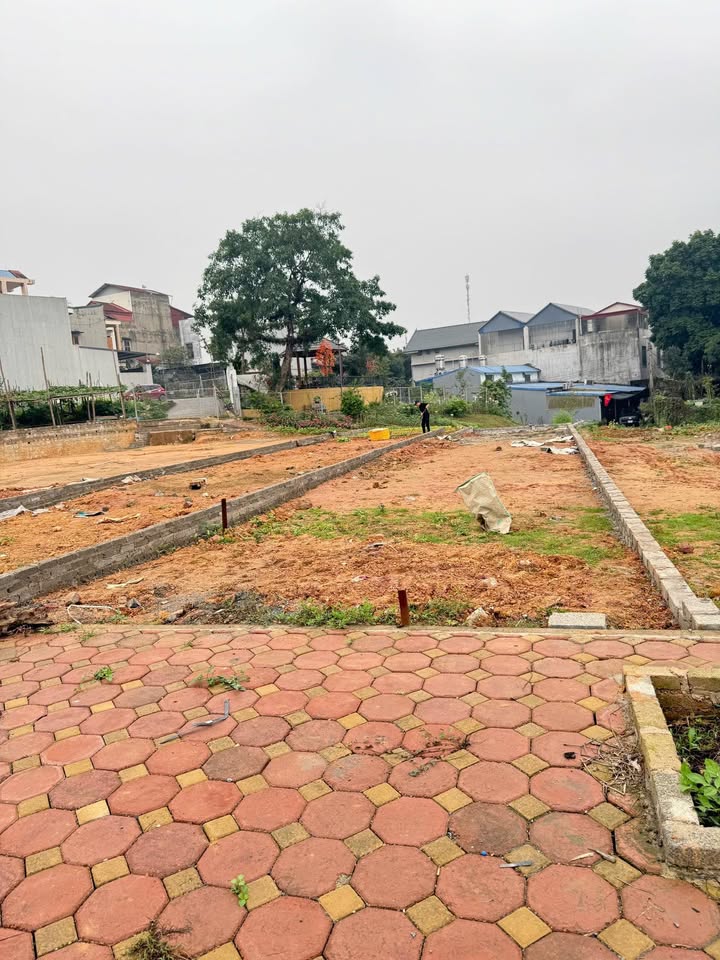 Đất Nền KDC Số 4 Tân Lập 125m² - Full Thổ Cư, Giá Tốt