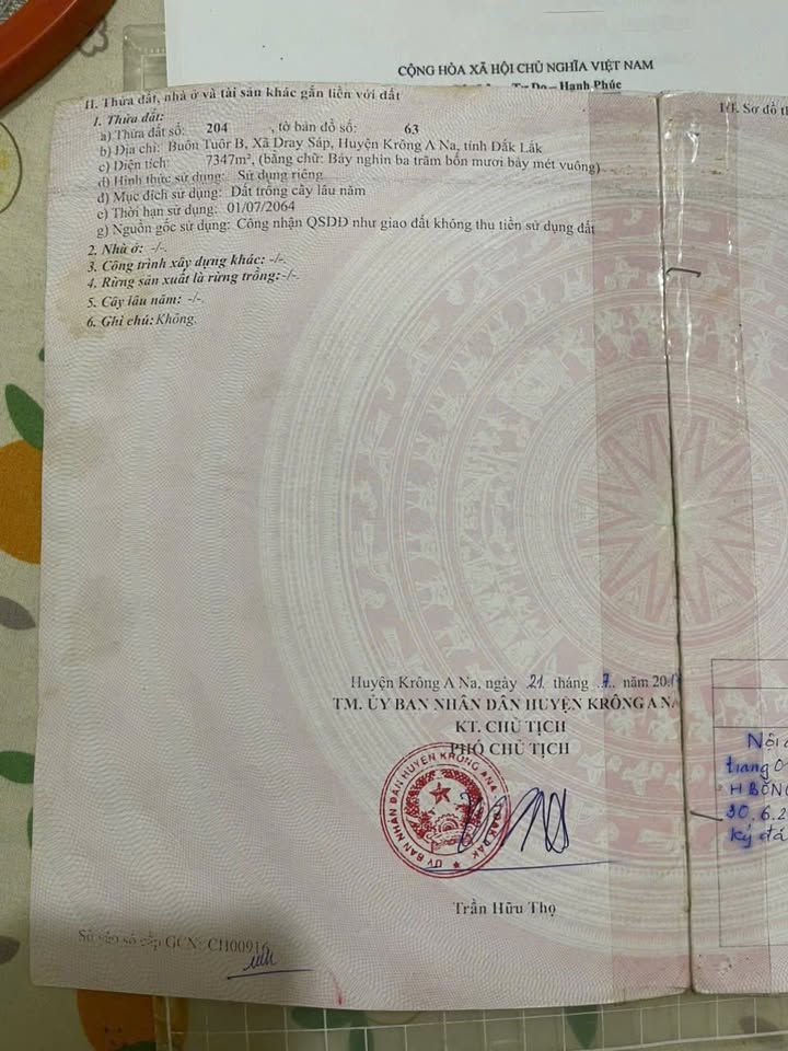 Bán Gấp Rẫy 1.1ha Krông Ana, Đắk Lắk - Sẵn Sàng Trồng Trọt