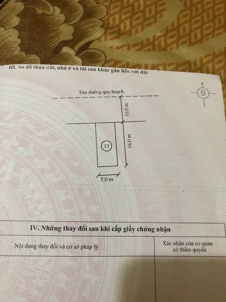 Đất nền Quảng Xương, Thanh Hóa - 126m² - Sổ đỏ sẵn sàng giao dịch