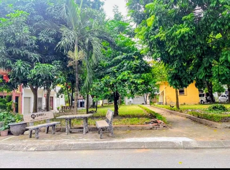 Đất Vườn Hoa Hòa Vượng Nam Định 81m² - Sẵn Sàng Xây Dựng, Vị Trí Đắc Địa