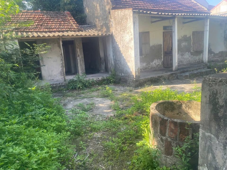 Đất nền Nam Định 305m² - Sổ đỏ trao tay, giá chỉ 600 triệu