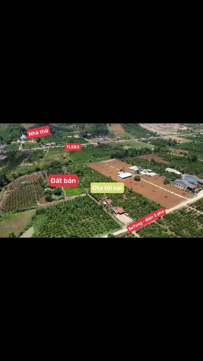 Đất Vườn 2000m² Đắk Nông - Vuông vức, Chạm Suối, Sẵn Thổ Cư