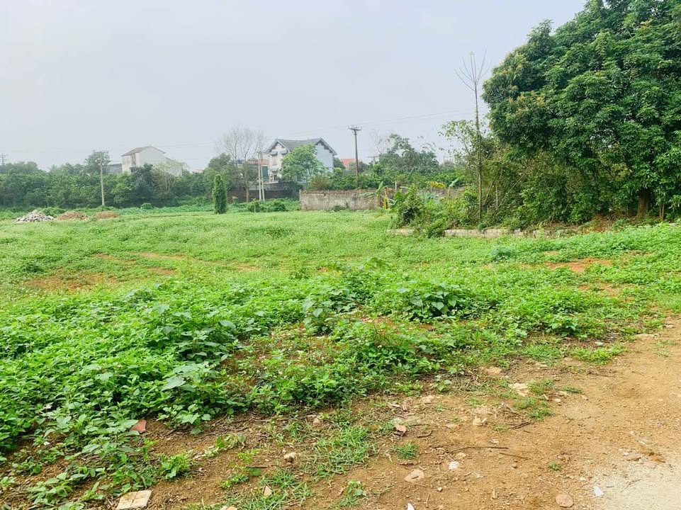 Đất Xuân Mai 2200m² (200m² ONT) - Sổ đỏ chính chủ, giá đầu tư!