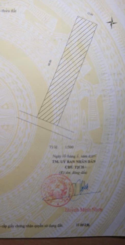 Đất Nền Hòa Ninh, Đà Nẵng 720m² - Sổ Đỏ Chính Chủ, Giá Tốt!