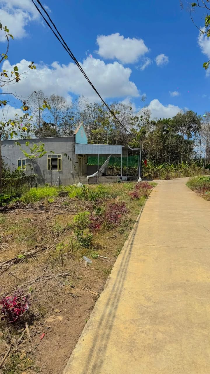 Đất Vườn 1.6 Sào Đồng Nai - Giá 1.3 Tỷ - Sổ Đỏ Sẵn Sàng