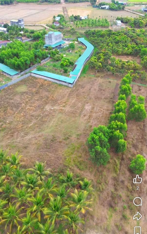 Farm 18.000m² Gia Canh, Định Quán - Giá Đầu Tư 250tr/sào