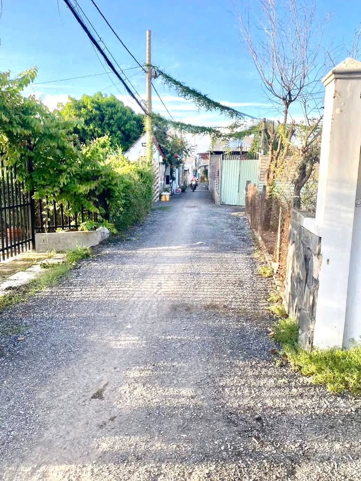 Đất Nền 182.6m² Hưng Long, Bình Chánh - Sổ Đỏ Full Thổ, Giá 4.2 Tỷ