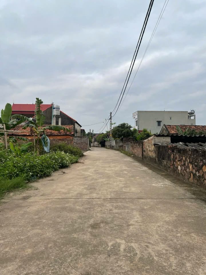 Đất nền Lục Nam, Bắc Giang 85m² - Tiềm năng tăng giá vượt trội!