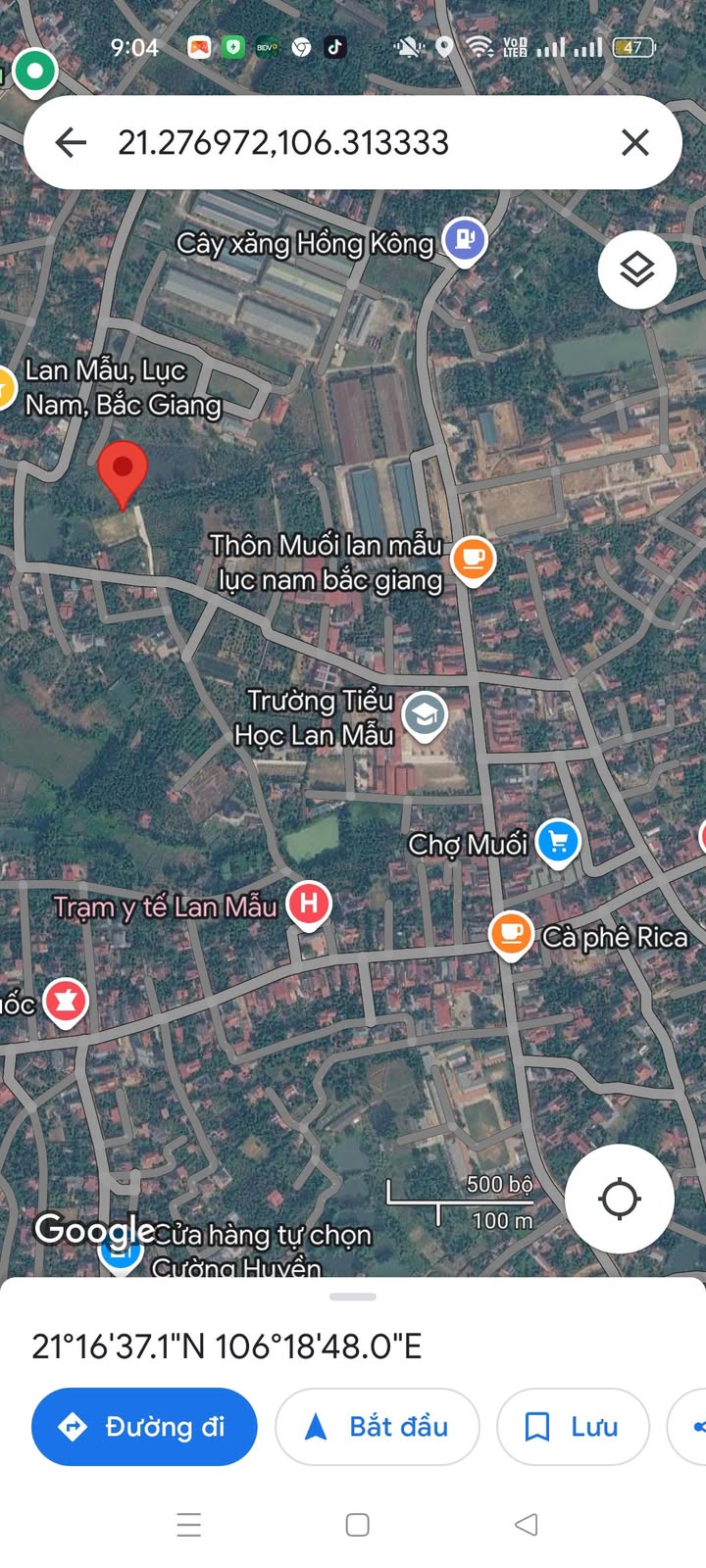 Đất thổ cư Lục Nam, Bắc Giang - 300m² mặt tiền 6.5m - Giá chỉ 8xx tỷ