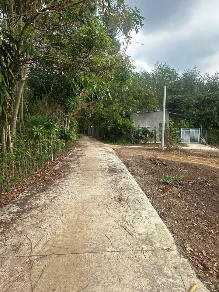 Đất nền Phú Đức Bình Long 360m² - Sổ đỏ chính chủ!