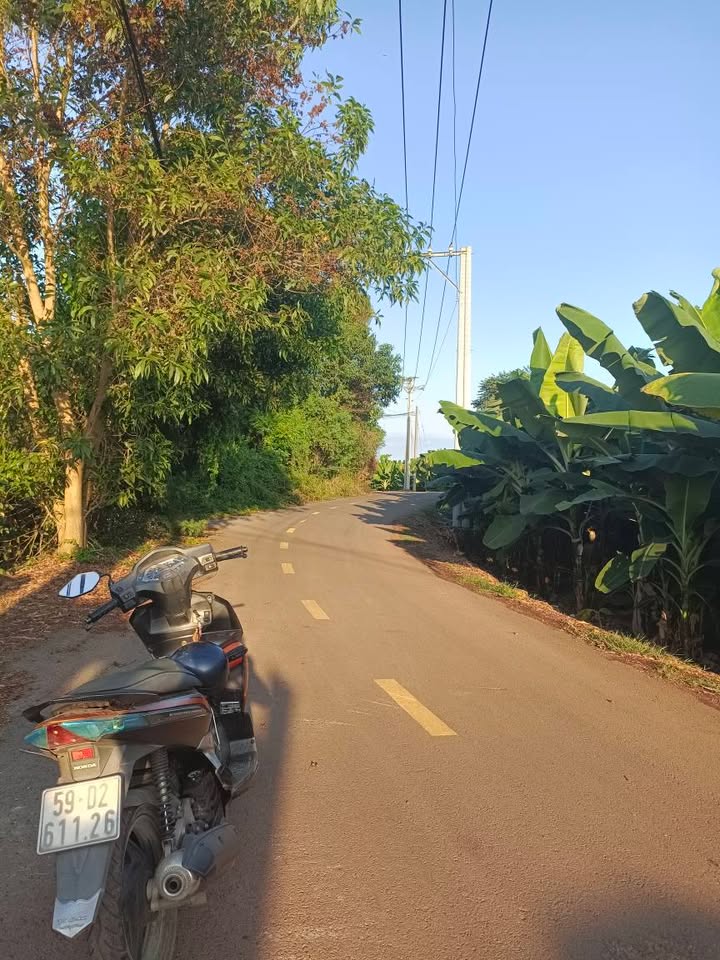 Bán Gấp Đất Vườn 11.800m² Xã Bàu Hàm 2, Đồng Nai - Giá Đầu Tư Tốt