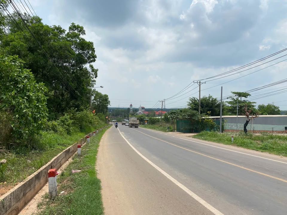 Đất nền sổ đỏ 100m² Trảng Bom - Sẵn sổ, cách Tỉnh lộ 767 chỉ 50m