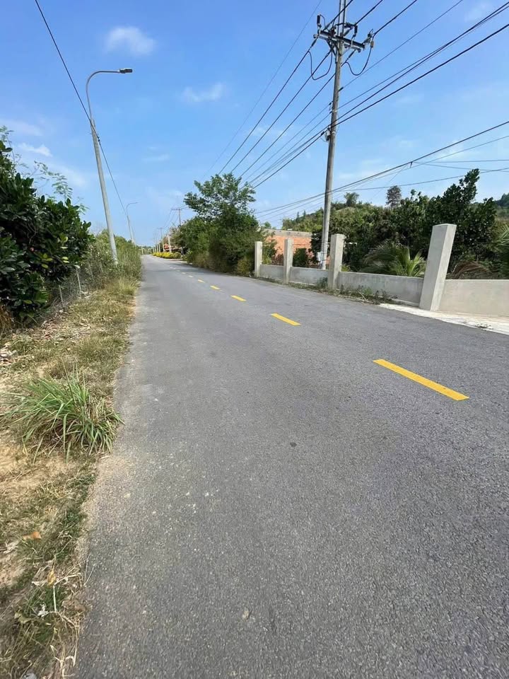 Nhà Mặt Tiền Đường Phú Xuân - Tân Phú, 1000m² Thổ Cư - Sẵn Sàng Ở Ngay