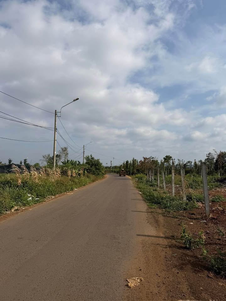 Đất Vườn Buôn Ma Thuột 1050m² - Sổ Đỏ Riêng, Giá Đầu Tư Hời