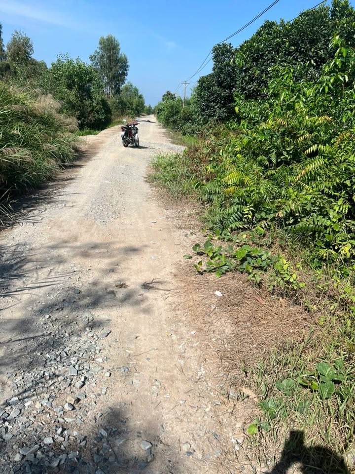 Đất Vàng Củ Chi 5500m² - Đầu Tư Sinh Lời Vượt Trội