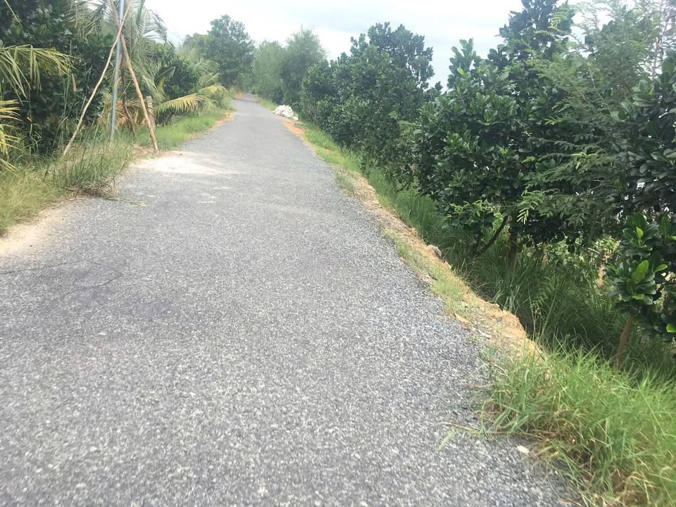 Đất Vườn Đồng Tháp 20.000m² Hướng Tây - Giá 5.8 Tỷ