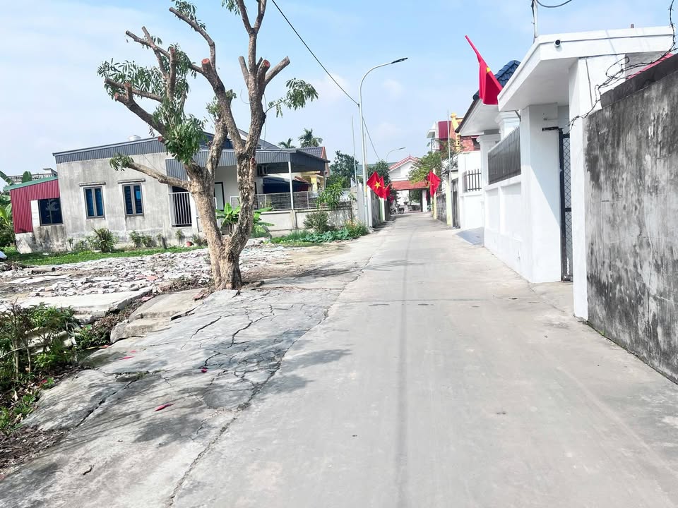 Đất nền Trường Thọ An Lão 90m² - Tiềm năng tăng giá mạnh mẽ!