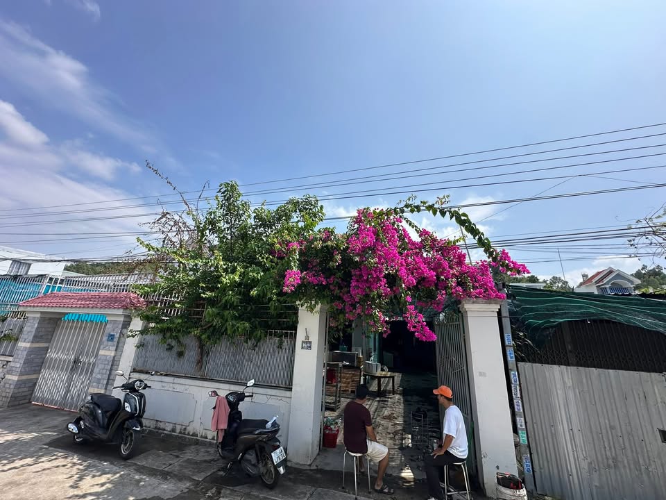 Nhà Phố Nguyễn Xiển, Nha Trang - 142m² - 4.5 Tỷ - Kinh Doanh/Nghỉ Dưỡng