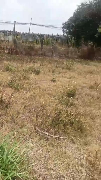 Đất nền Ia Le Chư Pưh 1080m² - Sổ đỏ chính chủ, đường to ô tô!